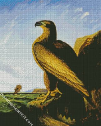 Washington Sea Eagle By John James Audubon diamond painting