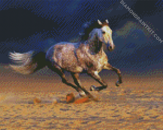 White Andalusian Horse In The Desert diamond painting