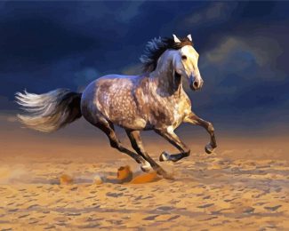 White Andalusian Horse In The Desert diamond painting