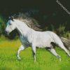 White Andalusian Horse Running diamond painting