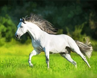 White Andalusian Horse Running diamond painting