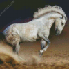 White Andalusian Horse diamond painting