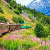 White Pass & Yukon Route Railway Alaska diamond painting