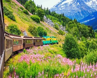 White Pass & Yukon Route Railway Alaska diamond painting