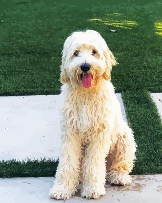 White Labradoodle diamond painting