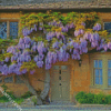 Wisteria diamond painting