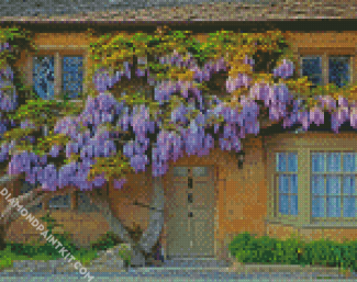 Wisteria diamond painting