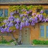 Wisteria diamond painting