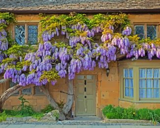 Wisteria diamond painting