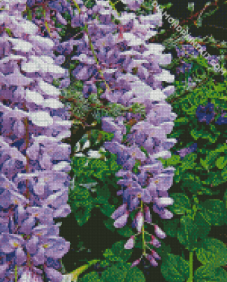 Wisteria Flower diamond painting