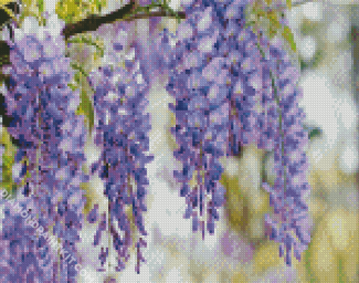 Wisteria Flower Plant diamond painting