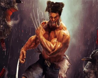 Wolverine Old Man Logan diamond painting