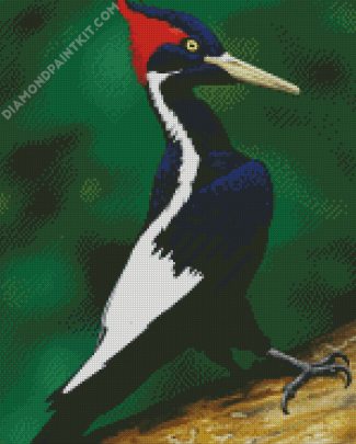 Woodpecker Bird Animal diamond painting