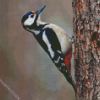 Woodpecker Bird diamond painting