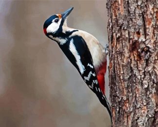 Woodpecker Bird diamond painting