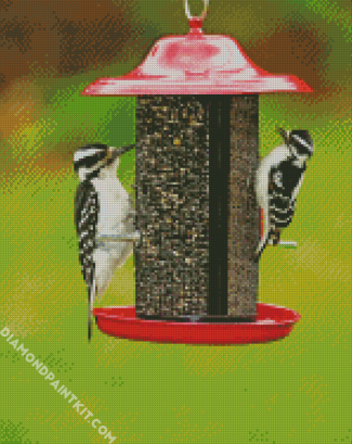 Woodpeckers Birds diamond painting