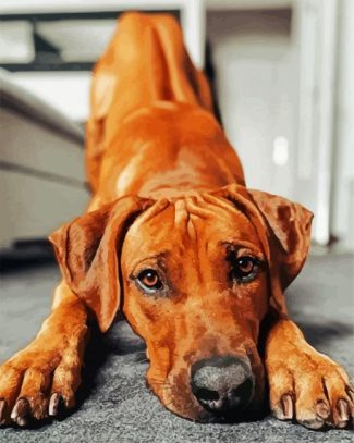 Adorable Ridgeback diamond painting