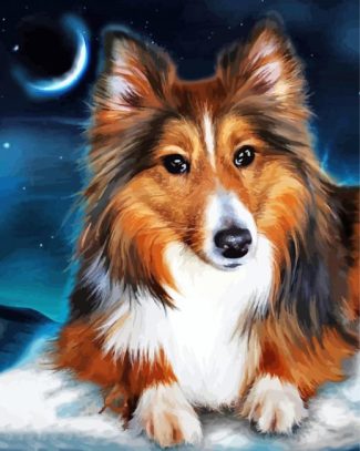 Adorable Sheltie diamond painting