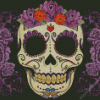 Aesthetic Sugar Skull diamond painting