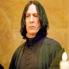 Aesthetic Professor Severus Snape diamond painting