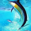 Aesthetic Sailfish diamond painting