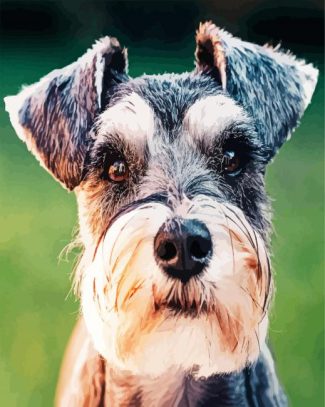 aesthetic Schnauzer diamond painting