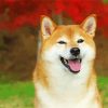 Aesthetic Shiba Inu diamond painting