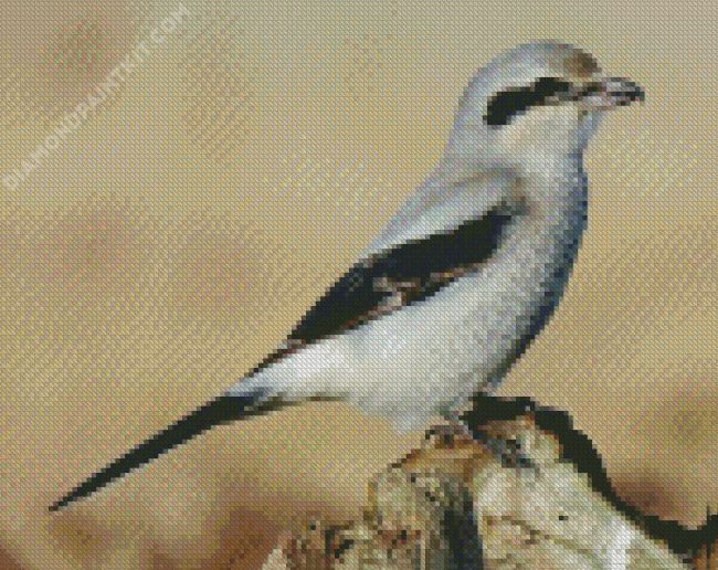 Aesthetic Shrike diamond painting