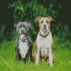 Aesthetic Staffordshire Dogs diamond painting