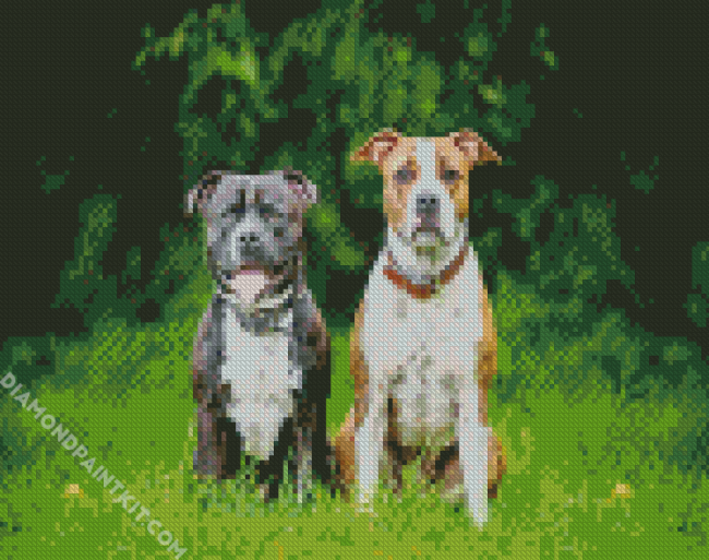 Aesthetic Staffordshire Dogs diamond painting