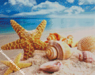 Aesthetic Starfishes diamond painting