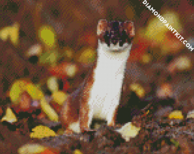 Aesthetic Stoat Animals diamond painting