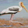 Aesthetic Stork Bird diamond painting