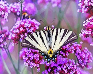 Aesthetic Swallowtail diamond painting