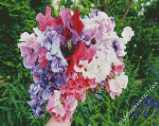 Aesthetic Sweet Pea diamond painting