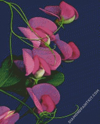 Aesthetic Sweet Pea Flower diamond painting