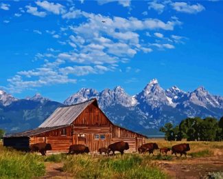 Aesthetic Teton County Wyoming diamond painting