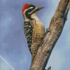 Aesthetic Woodpecker Bird diamond painting