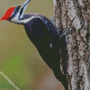 Aesthetic Woodpecker diamond painting