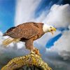 Aesthetic Bald Eagle diamond painting