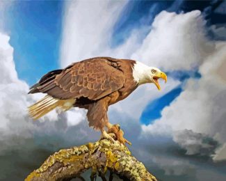 Aesthetic Bald Eagle diamond painting