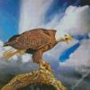 Aesthetic Bald Eagle diamond painting