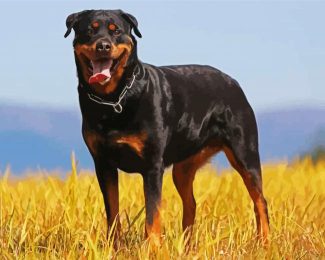 Aesthetic Black Rottweiler diamond painting