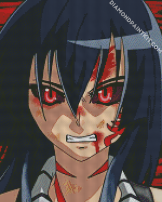 Aesthetic Ga Kill Akame diamond painting