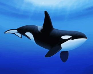 Aesthetic Killer Whale diamond painting