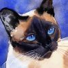 Aesthetic Siamese Cat Illustration diamond painting