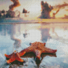 Aesthetic Starfishes Sunset diamond painting