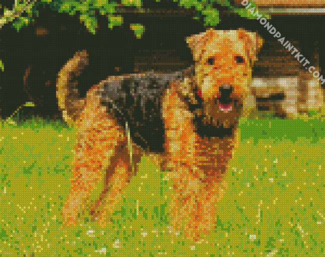 Airedale Terrier diamond painting