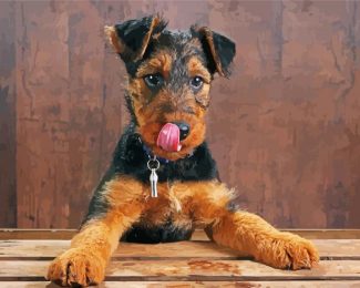 Airedale Terrier Dog diamond painting