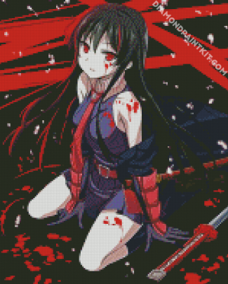 Akame Ga Kill Anime diamond painting